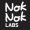 Nok Nok Labs Logo