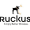 Ruckus Wireless WAN logo
