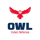 Owl Cyber Defense Logo