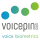 VoicePIN Logo