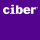 Ciber BI and Performance Management Services Logo