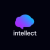 Intellect logo