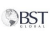 BST Global ERP logo