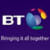 BT Network Services logo