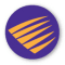 Palisade Systems PacketSure Logo