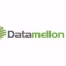 Datamellon Professional Services Logo