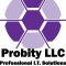 Probity’s Fastback Logo