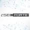eSec Forte Penetration Testing Services Logo
