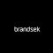 BrandSek Logo