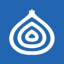 Blue Onion Logo