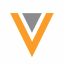 Veeva Medical CRM Logo