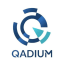 Qadium Logo