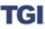 Technology Group International Enterprise 21 Logo