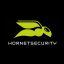 Hornetsecurity Email Encryption Logo