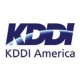 KDDI Network Services Logo