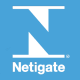Netigate Enterprise Survey Software Logo