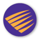Palisade Systems PacketSure Logo