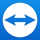 TeamViewer Blizz Logo