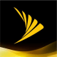 Sprint Network Services Logo