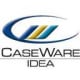 CaseWare IDEA SymSure Monitor Logo