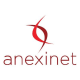 Anexinet Infrastructure Automation Logo