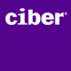 Ciber SAP Services Logo
