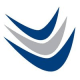 Vision Wireless Logo